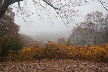 Blue Ridge Pkwy Rain
