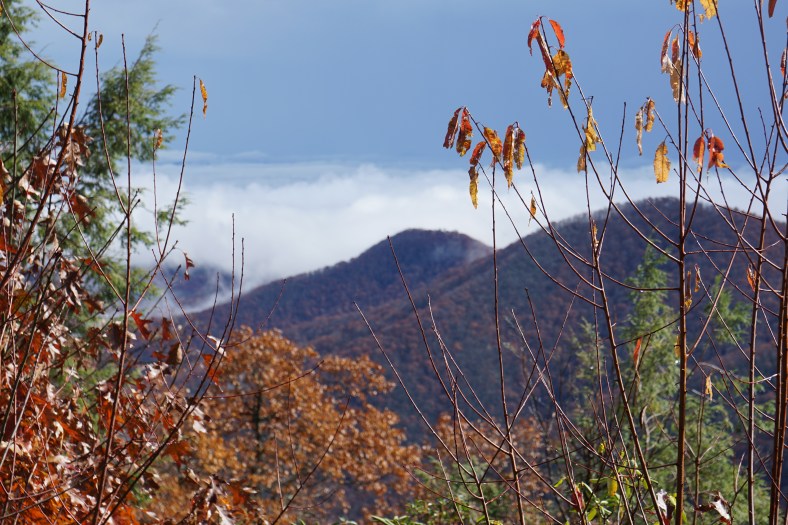After the rain clears