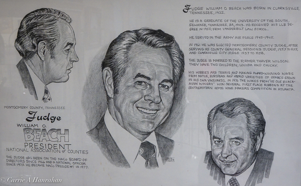 Beachaven Vineyards-14