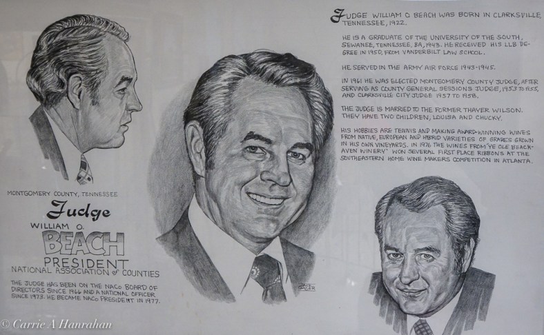 Beachaven Vineyards-14