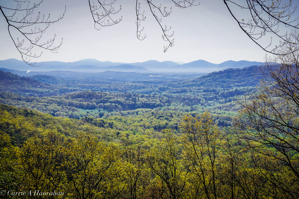 Cradle of Forestry-2