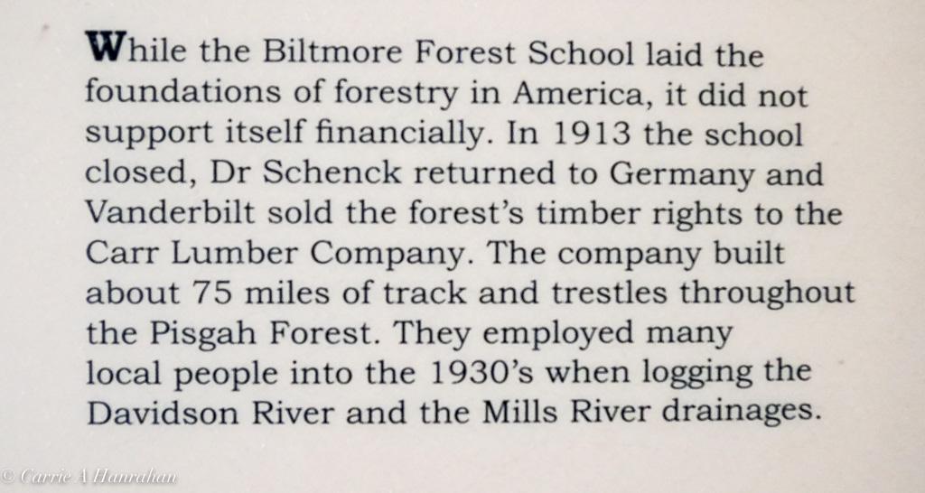 Cradle of Forestry-25