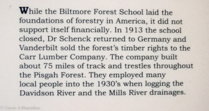 Cradle of Forestry-25