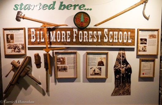 Cradle of Forestry-3