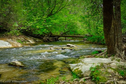 Roaring River_-16