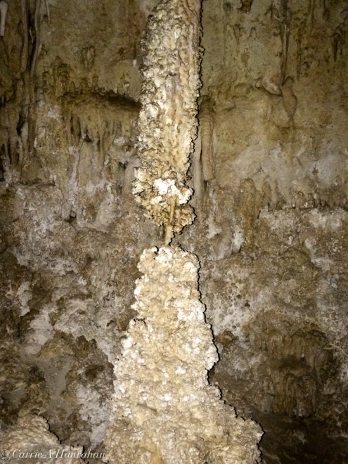 Guadalupe Mts and Carlsbad Caverns-18