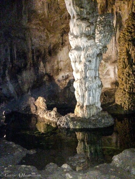 Guadalupe Mts and Carlsbad Caverns-21