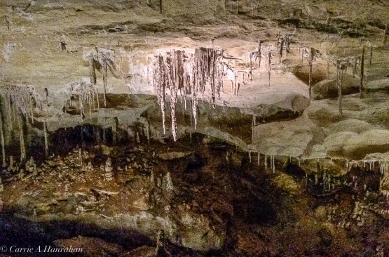Guadalupe Mts and Carlsbad Caverns-23