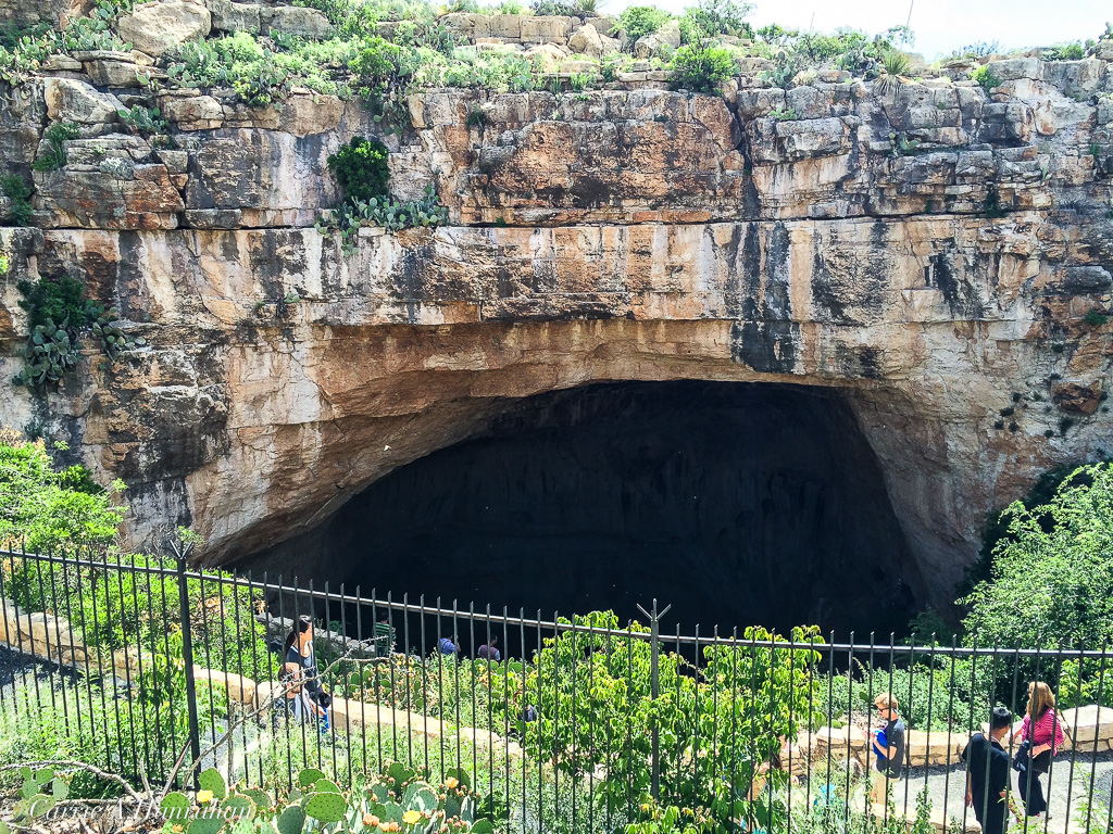 Guadalupe Mts and Carlsbad Caverns-27