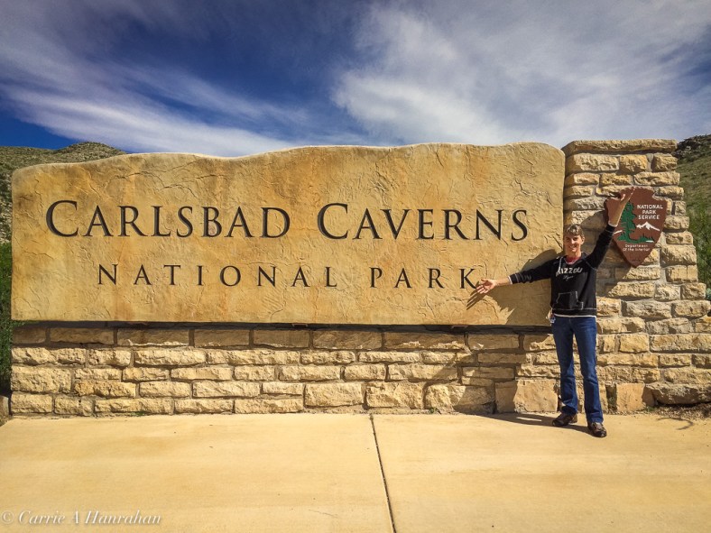 Guadalupe Mts and Carlsbad Caverns-28