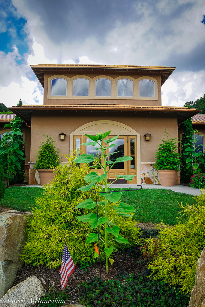 Linville Falls Winery-14