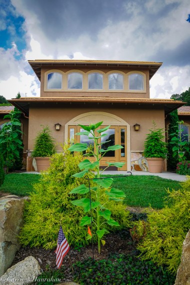 Linville Falls Winery-14