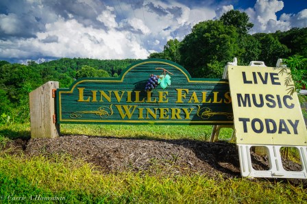 Linville Falls Winery-28