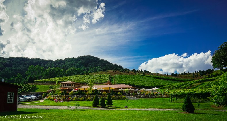 Linville Falls Winerys